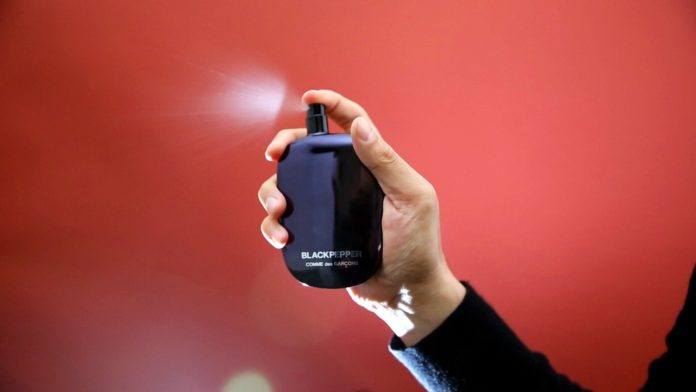 BEST PERFUMES FOR MEN UNDER 1000 BEST PERFUMES FOR MEN UNDER 1000
