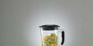 Best Mixer Grinder in India