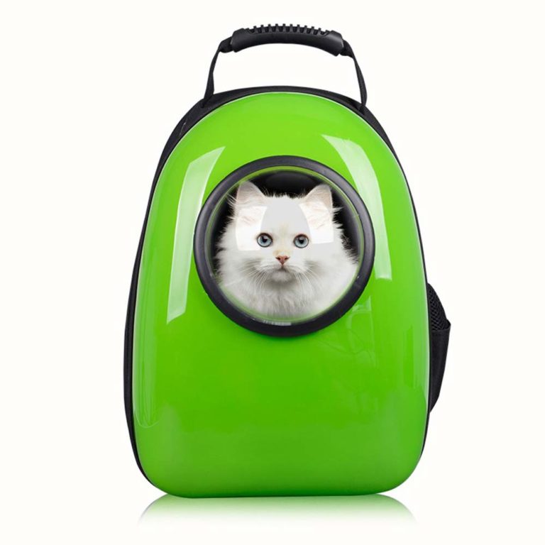 Top 5 Best Airline Approved Pet Carrier in India 2024