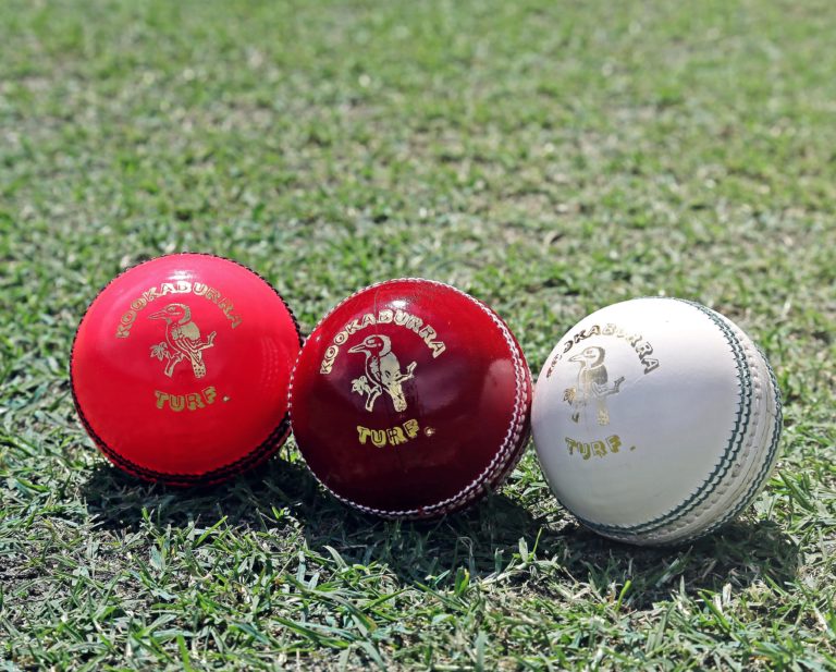 5 Best Cricket Balls in 2024