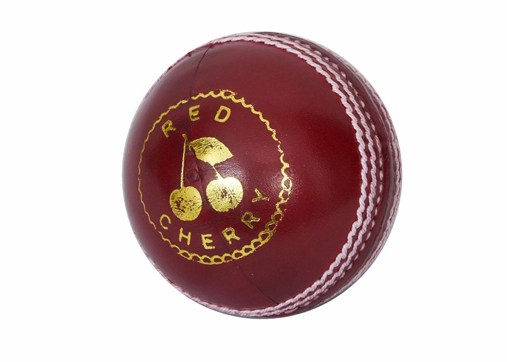 5 Best Cricket Balls in 2024 Jaxtr