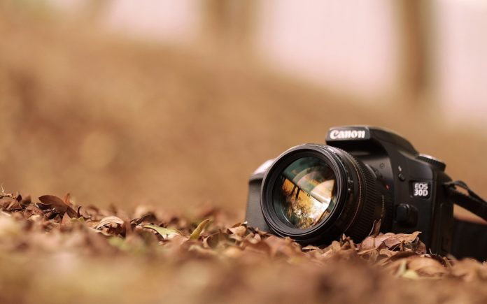 dsl camera