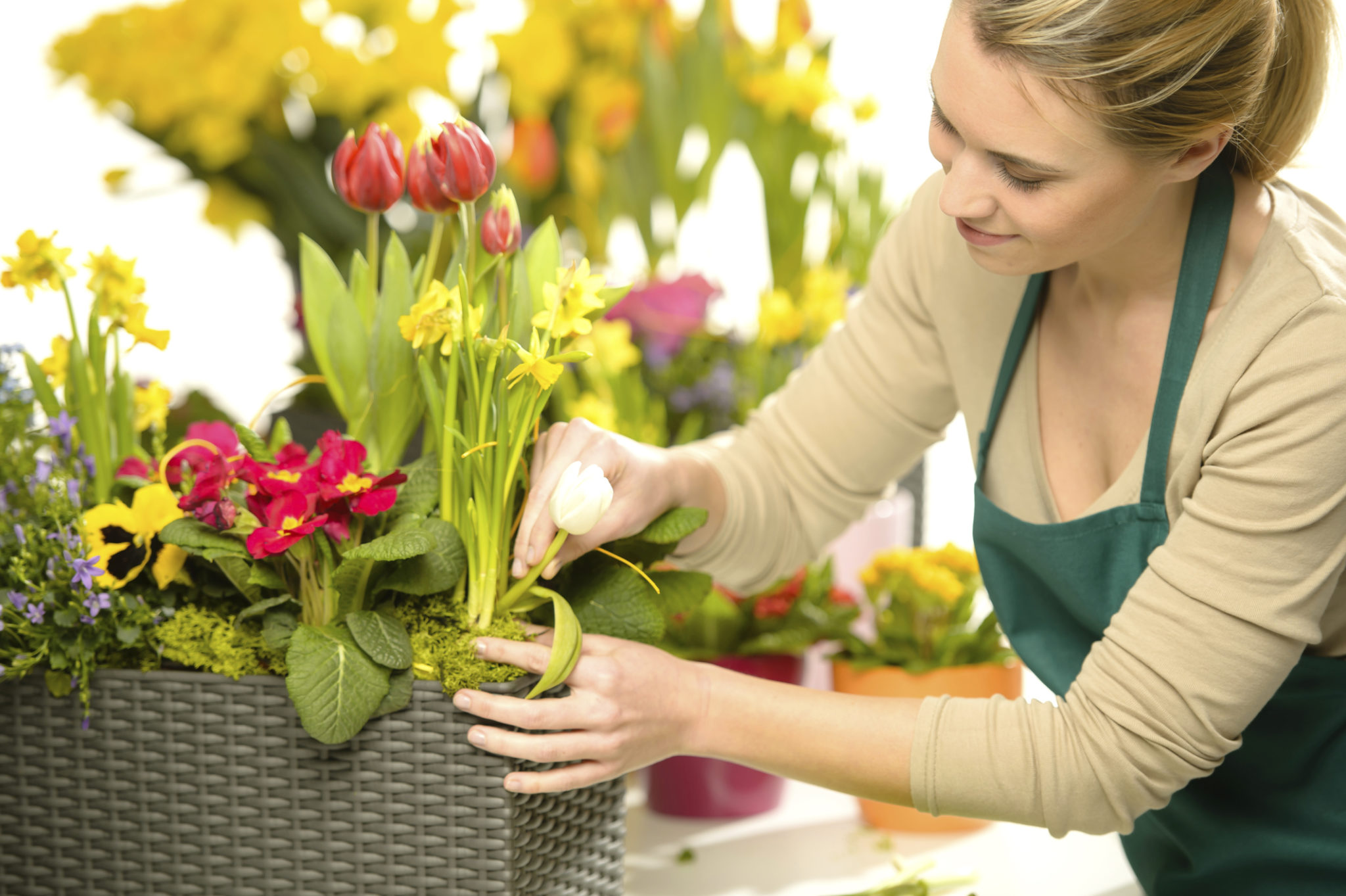 Being a Florist in Germany Tech You Need to Succeed in 2024 Jaxtr