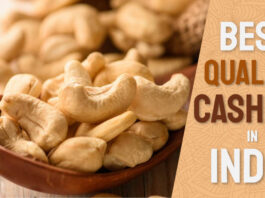 quality cashew in india