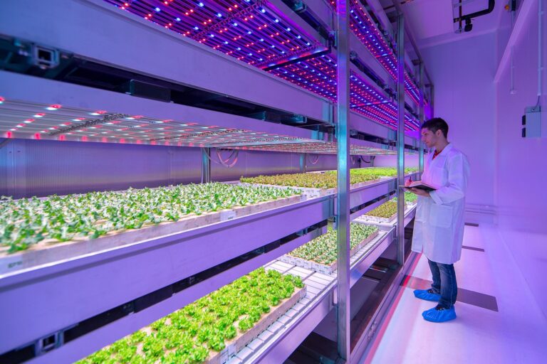 7 Ways LED Grow Lights are Perfect for Small Vertical Farms