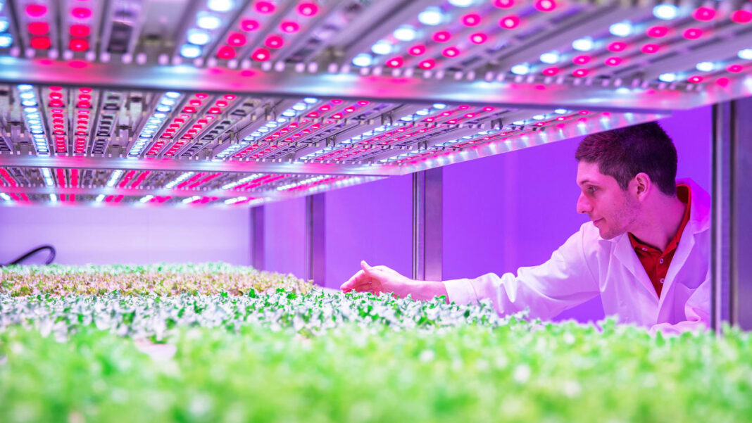 7 Ways LED Grow Lights are Perfect for Small Vertical Farms Jaxtr