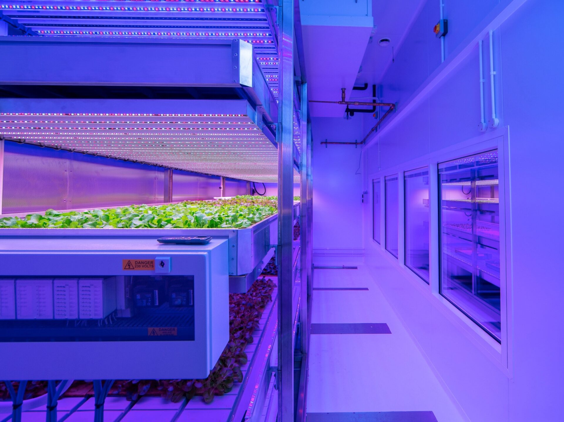 7 Ways LED Grow Lights are Perfect for Small Vertical Farms Jaxtr