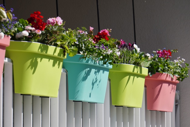 flowers-with-colorful-pots-white-fence