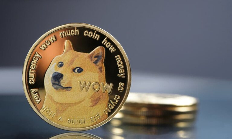 Why Are Millennials So Obsessed With Dogecoin