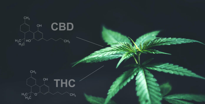 CBD and THC