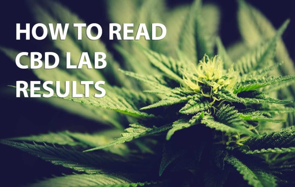 How to Read and Understand CBD Lab Results
