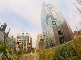 Sustainability in NYC Apartments